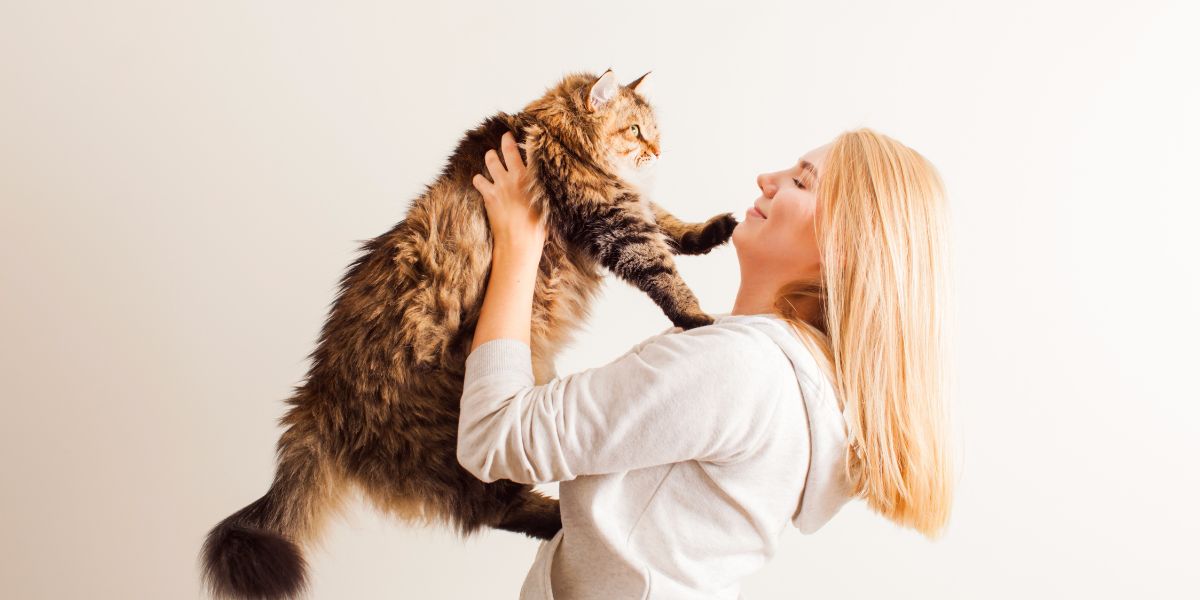 Adote um Gato: Transforme Vidas Com Amor e Responsabilidade