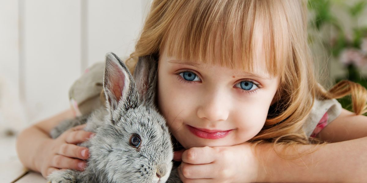 Animais de Estimação Pequenos: Como Escolher e Cuidar