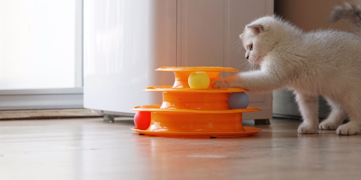 Brinquedos Para Gatos como Escolher o Ideal e Seus Benefícios