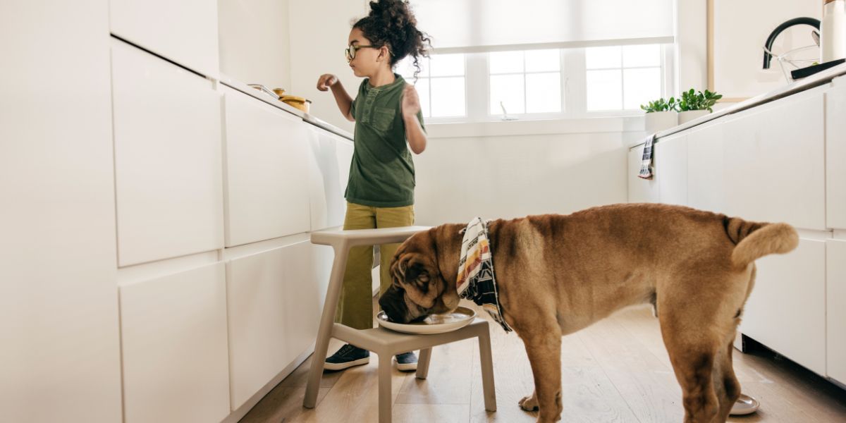Como escolher a melhor ração para cães e garantir saúde