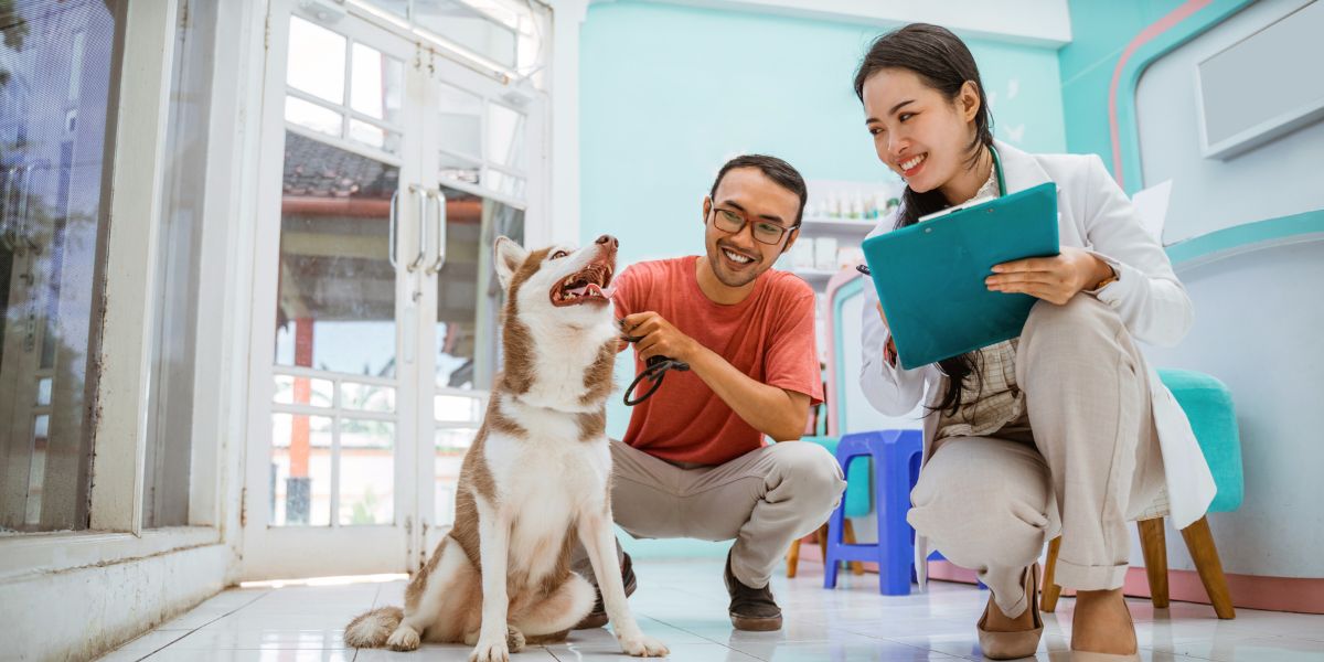 Comprimidos para Pulgas: O Guia Completo para Tutores