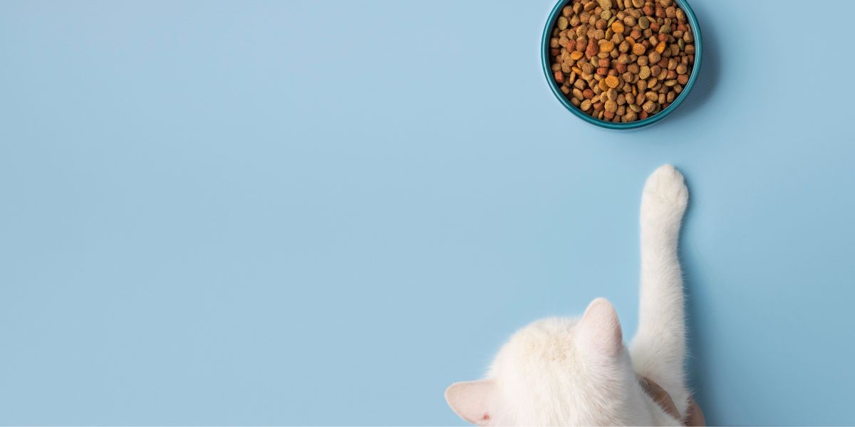 Royal Canin Hypoallergenic: Ração para Alergias e Intolerâncias