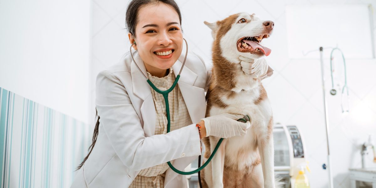 Royal Canin Urinary: Saúde Urinária para Cães e Gatos